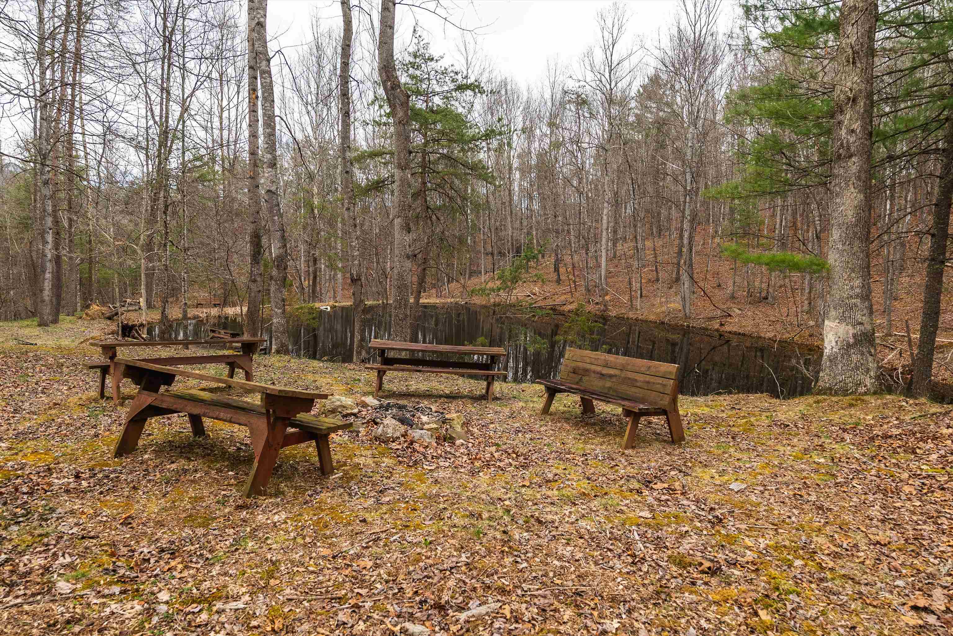 Lot 1 HOPKINS GAP RD, FULKS RUN, Virginia 22830, ,Farm,14,Lot 1 HOPKINS GAP RD,675970 MLS # 675970