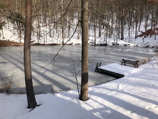 Lot 1 HOPKINS GAP RD, FULKS RUN, Virginia 22830, ,Farm,14,Lot 1 HOPKINS GAP RD,675970 MLS # 675970