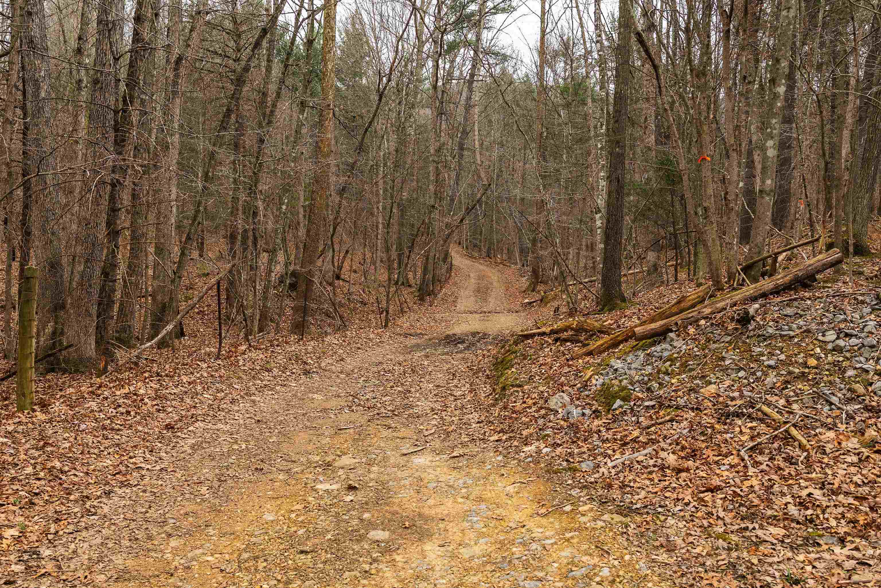 Lot 1 HOPKINS GAP RD, FULKS RUN, Virginia 22830, ,Farm,14,Lot 1 HOPKINS GAP RD,675970 MLS # 675970