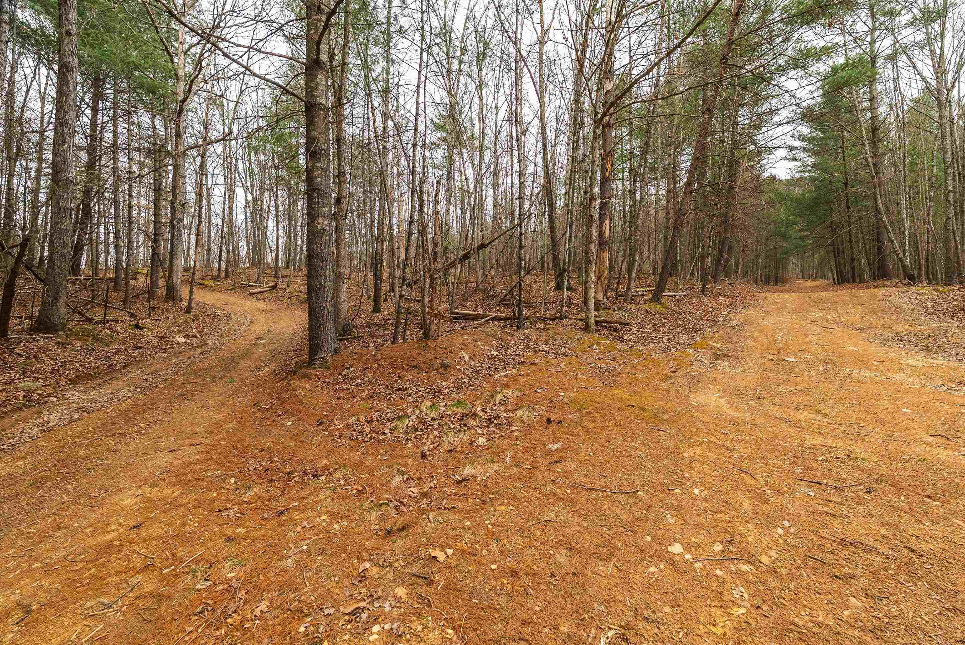 Lot 1 HOPKINS GAP RD, FULKS RUN, Virginia 22830, ,Farm,14,Lot 1 HOPKINS GAP RD,675970 MLS # 675970