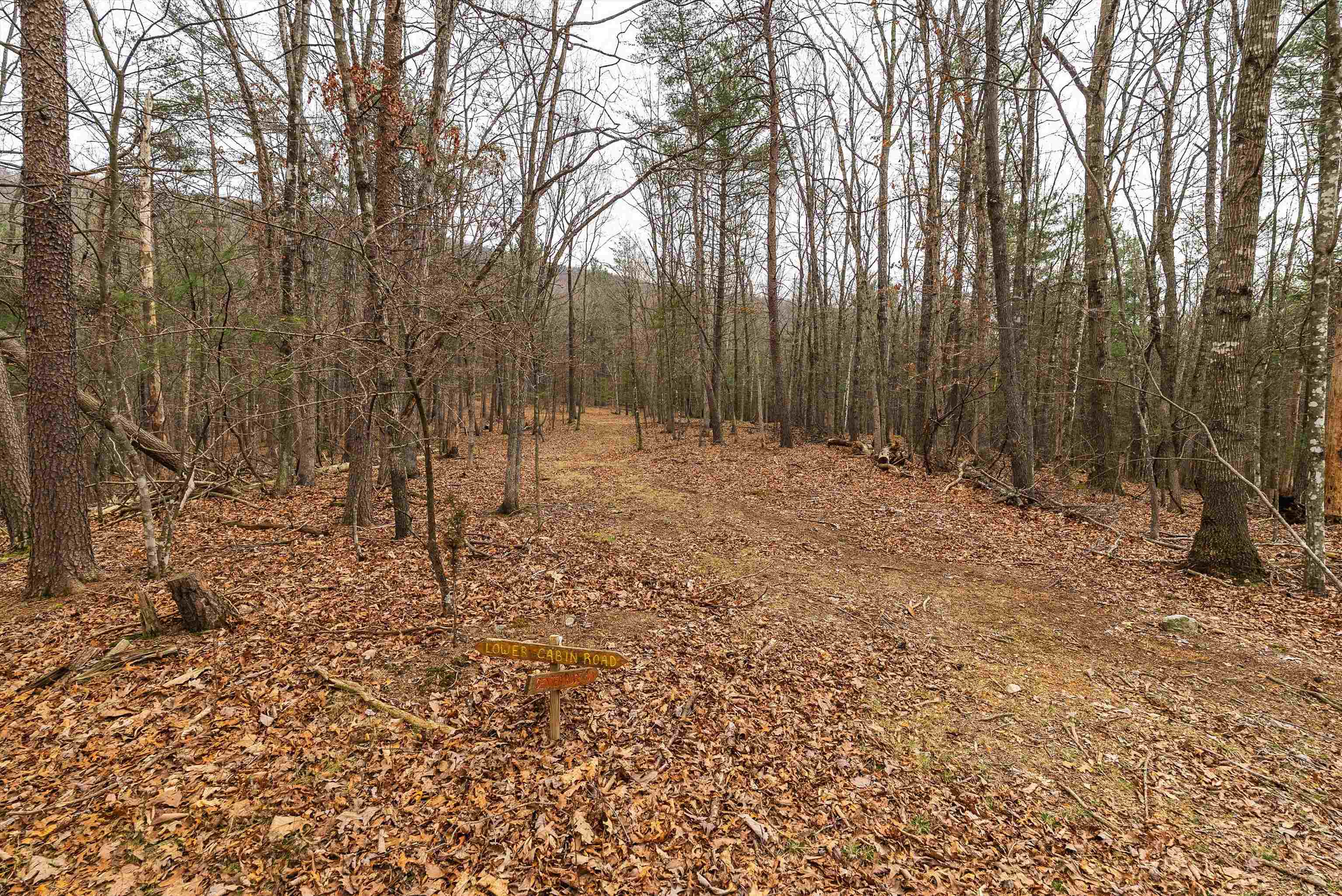 Lot 1 HOPKINS GAP RD, FULKS RUN, Virginia 22830, ,Farm,14,Lot 1 HOPKINS GAP RD,675970 MLS # 675970
