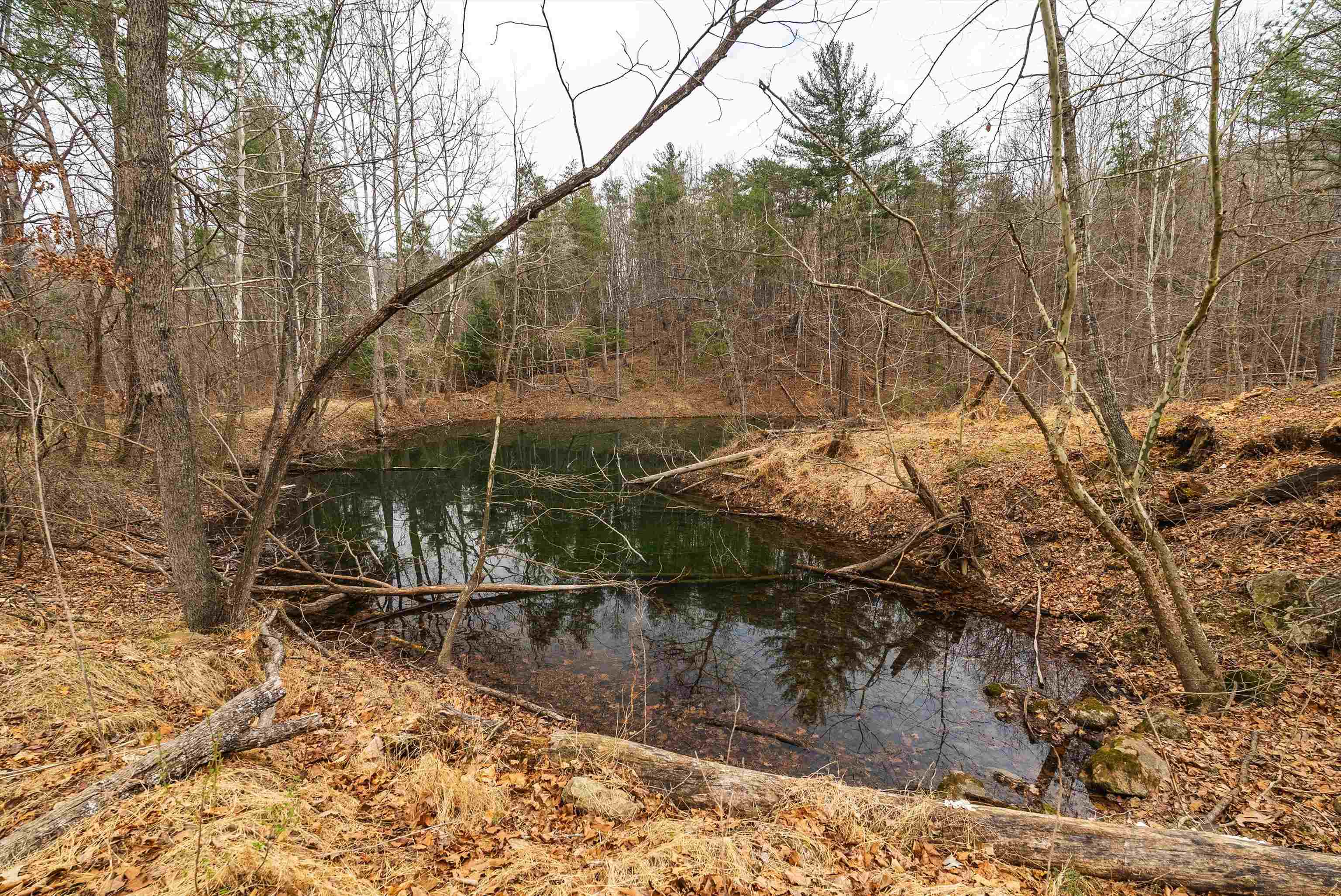 Lot 1 HOPKINS GAP RD, FULKS RUN, Virginia 22830, ,Farm,14,Lot 1 HOPKINS GAP RD,675970 MLS # 675970