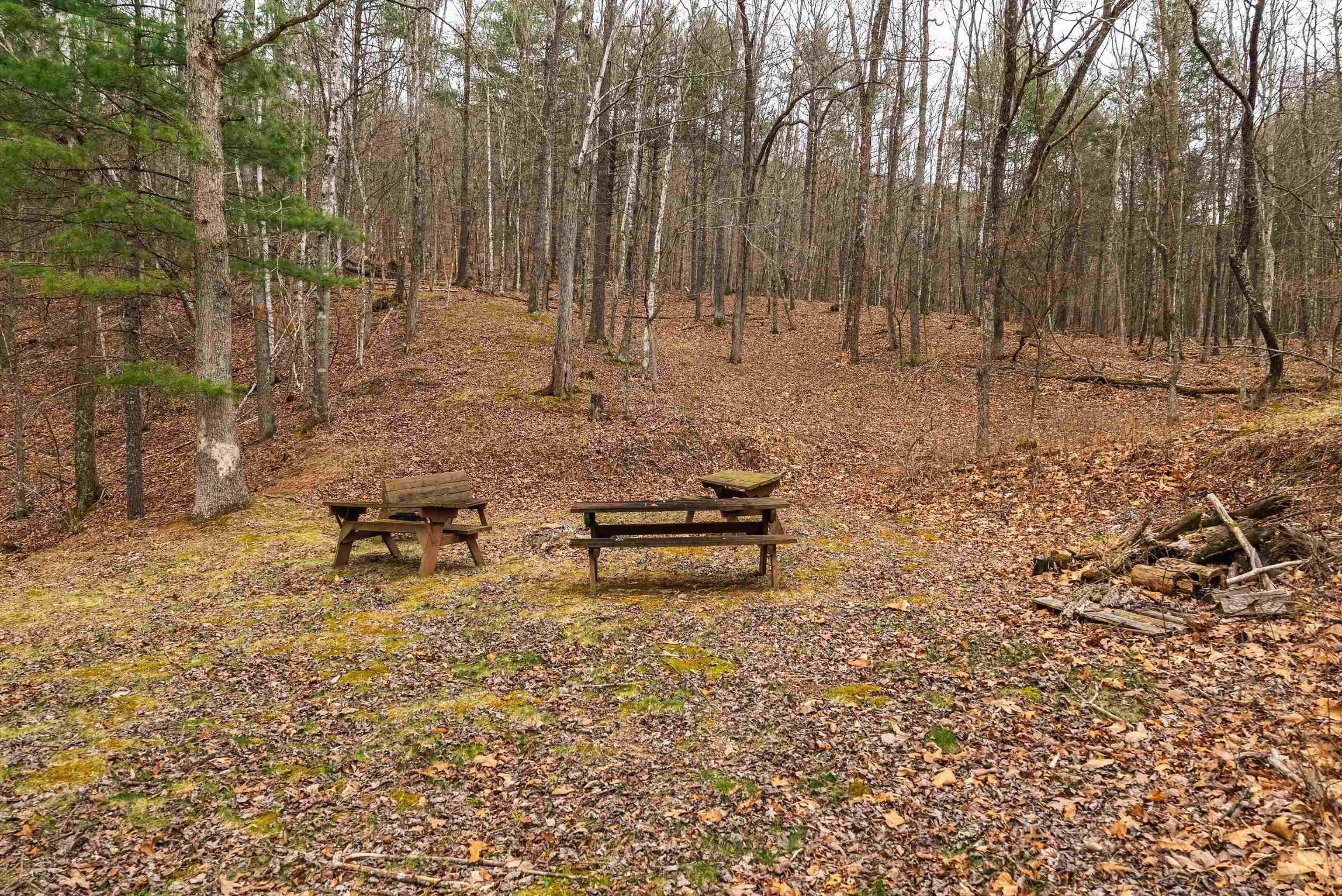 Lot 1 HOPKINS GAP RD, FULKS RUN, Virginia 22830, ,Farm,14,Lot 1 HOPKINS GAP RD,675970 MLS # 675970