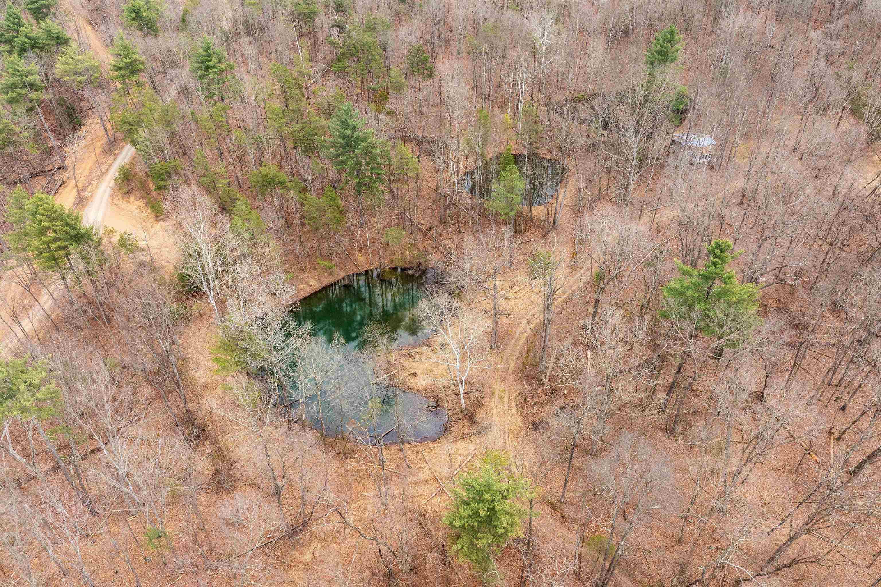 Lot 1 HOPKINS GAP RD, FULKS RUN, Virginia 22830, ,Farm,14,Lot 1 HOPKINS GAP RD,675970 MLS # 675970