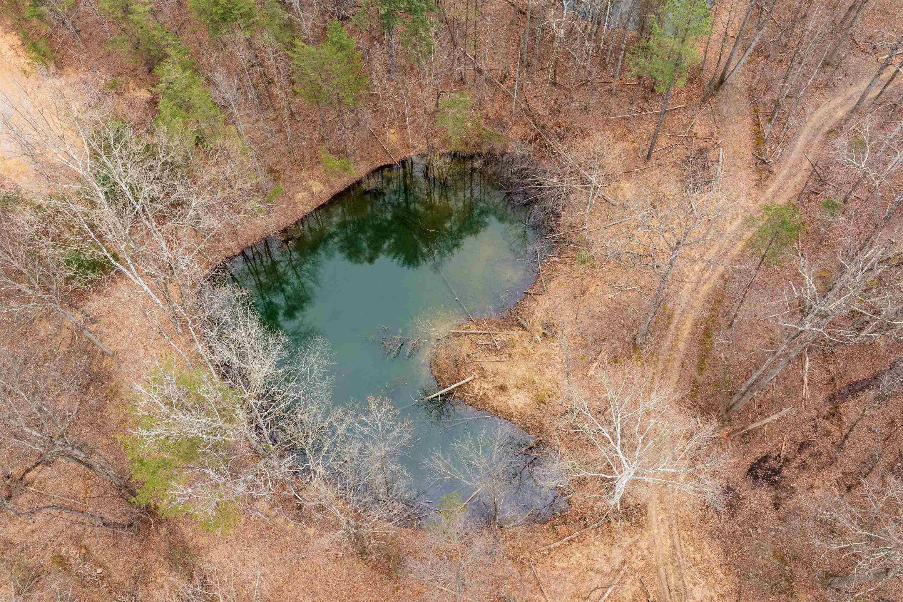 Lot 1 HOPKINS GAP RD, FULKS RUN, Virginia 22830, ,Farm,14,Lot 1 HOPKINS GAP RD,675970 MLS # 675970