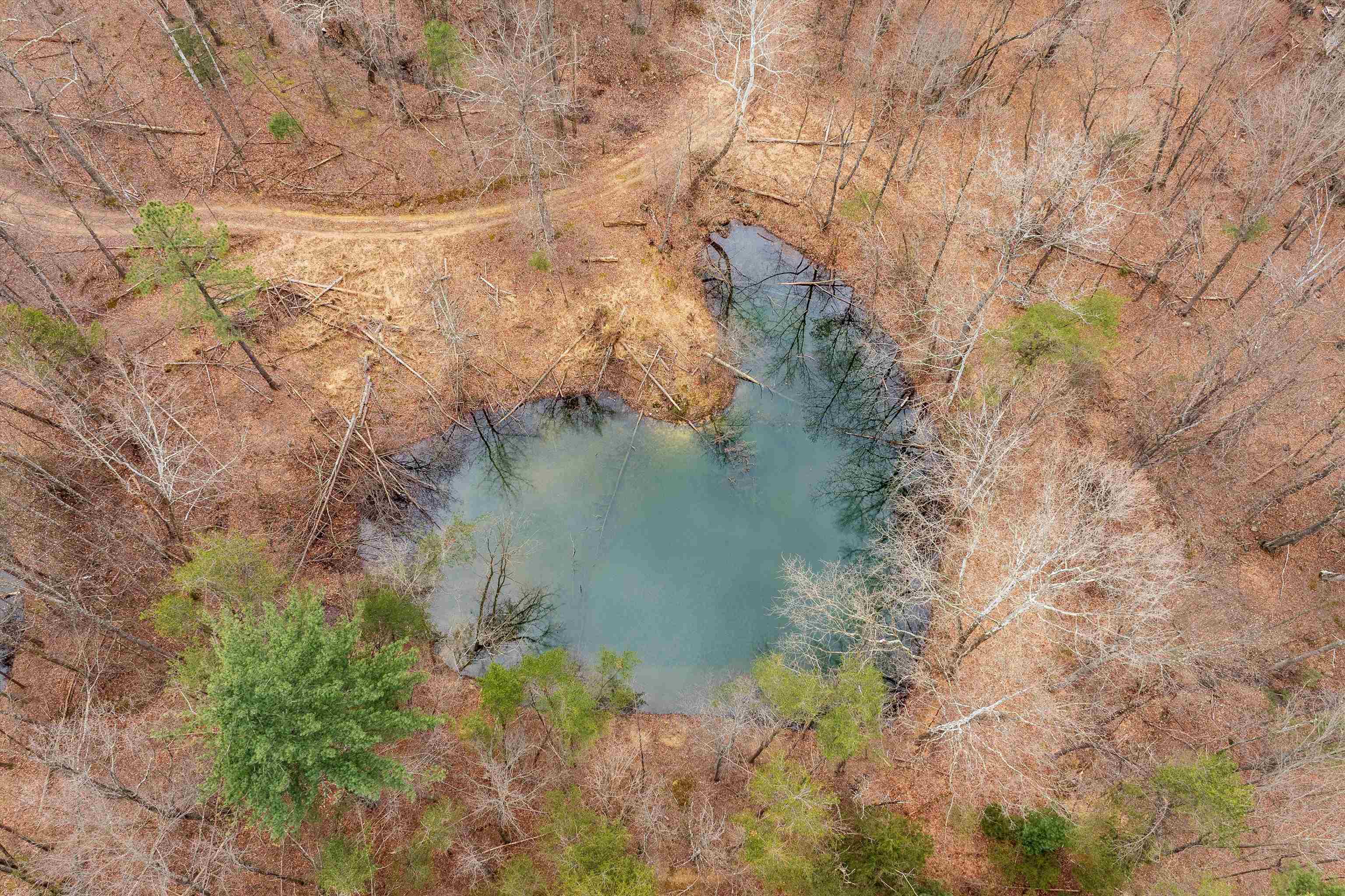 Lot 1 HOPKINS GAP RD, FULKS RUN, Virginia 22830, ,Farm,14,Lot 1 HOPKINS GAP RD,675970 MLS # 675970