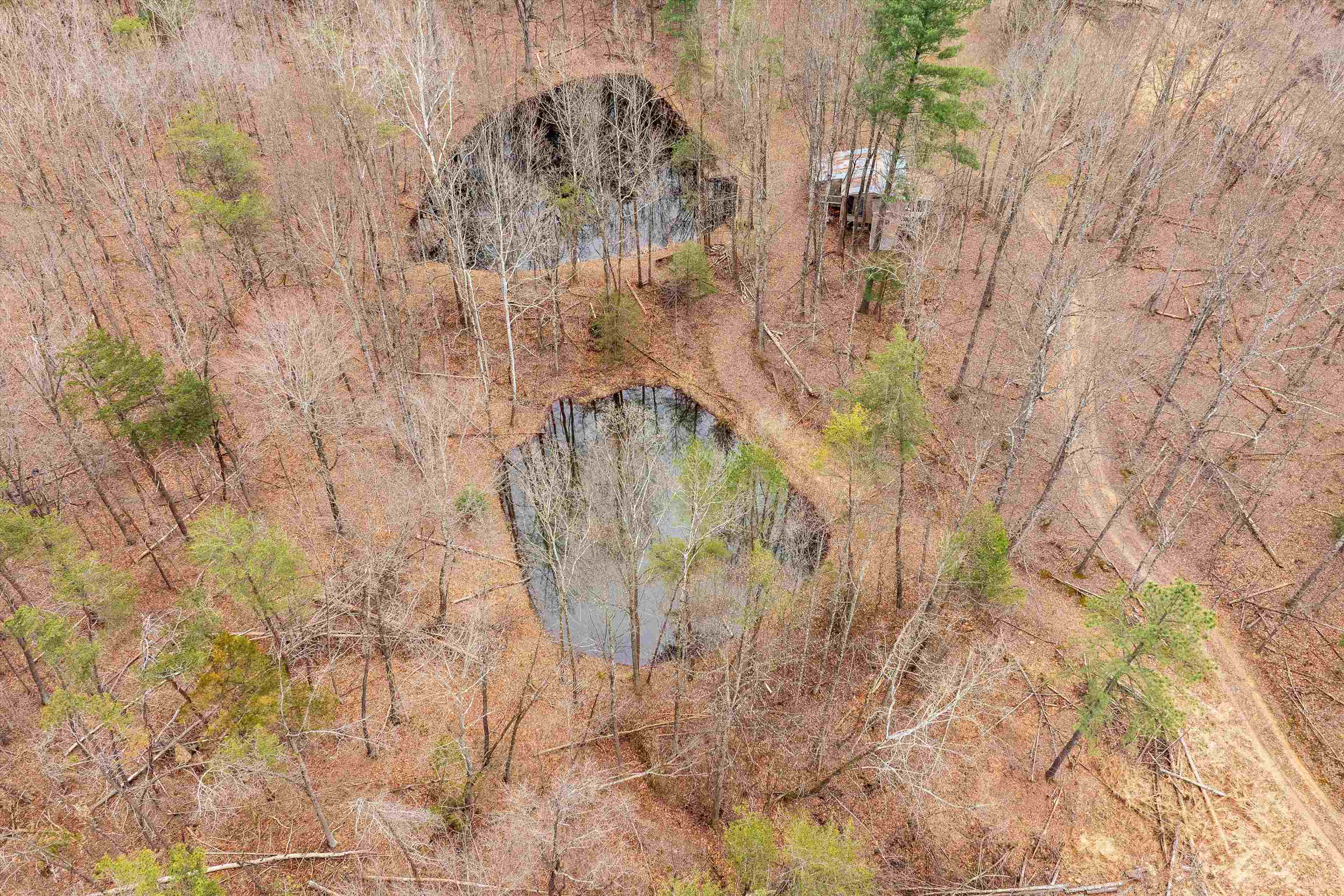 Lot 1 HOPKINS GAP RD, FULKS RUN, Virginia 22830, ,Farm,14,Lot 1 HOPKINS GAP RD,675970 MLS # 675970