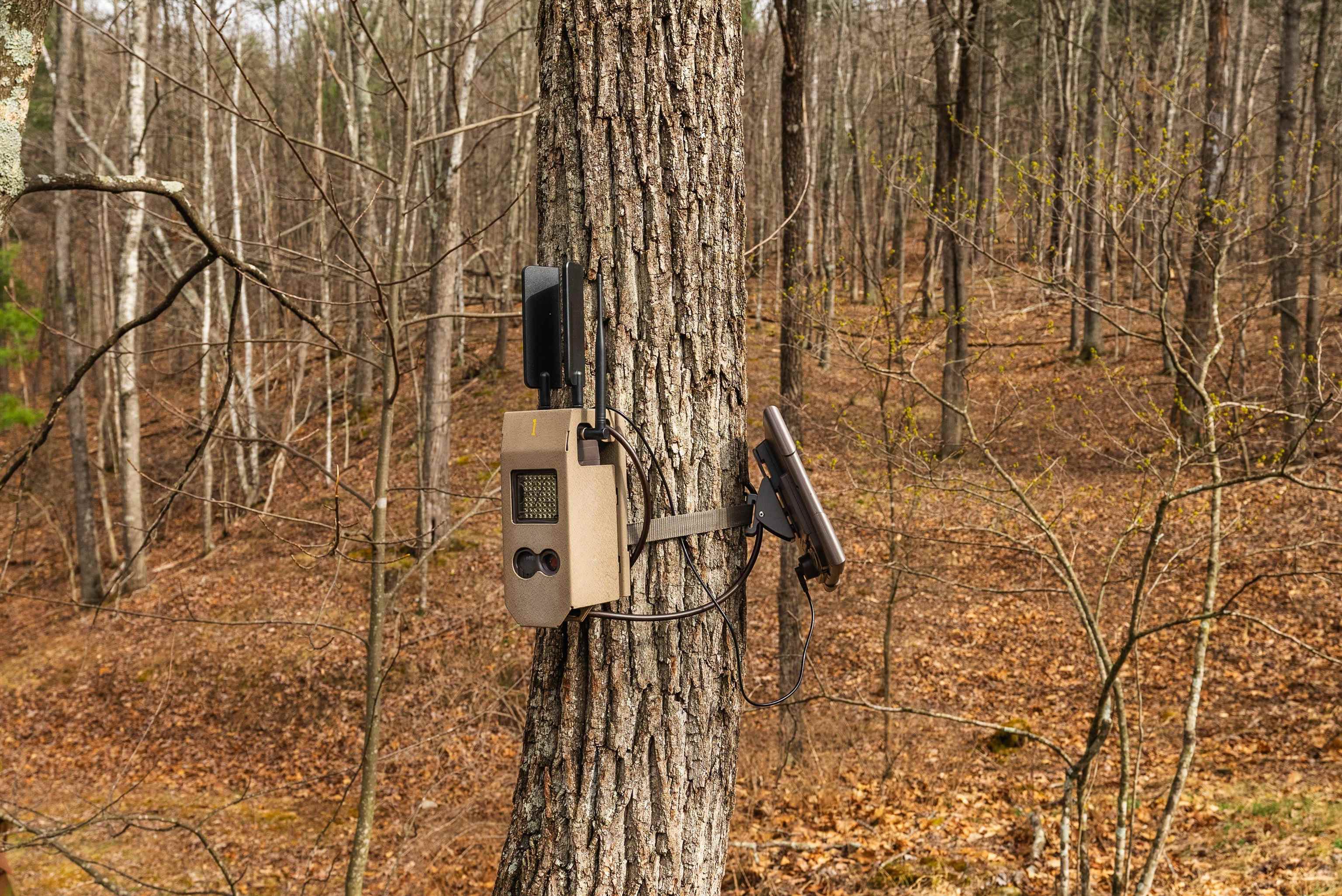 Lot 1 HOPKINS GAP RD, FULKS RUN, Virginia 22830, ,Farm,14,Lot 1 HOPKINS GAP RD,675970 MLS # 675970