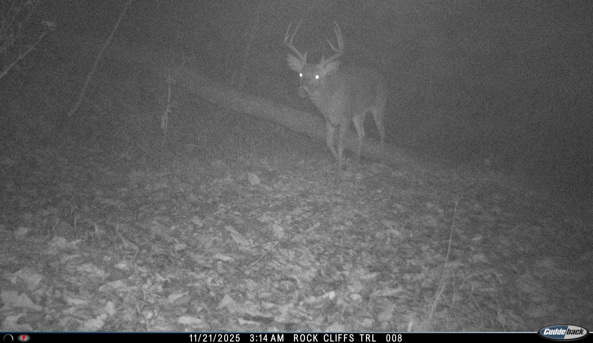 Lot 1 HOPKINS GAP RD, FULKS RUN, Virginia 22830, ,Farm,14,Lot 1 HOPKINS GAP RD,675970 MLS # 675970