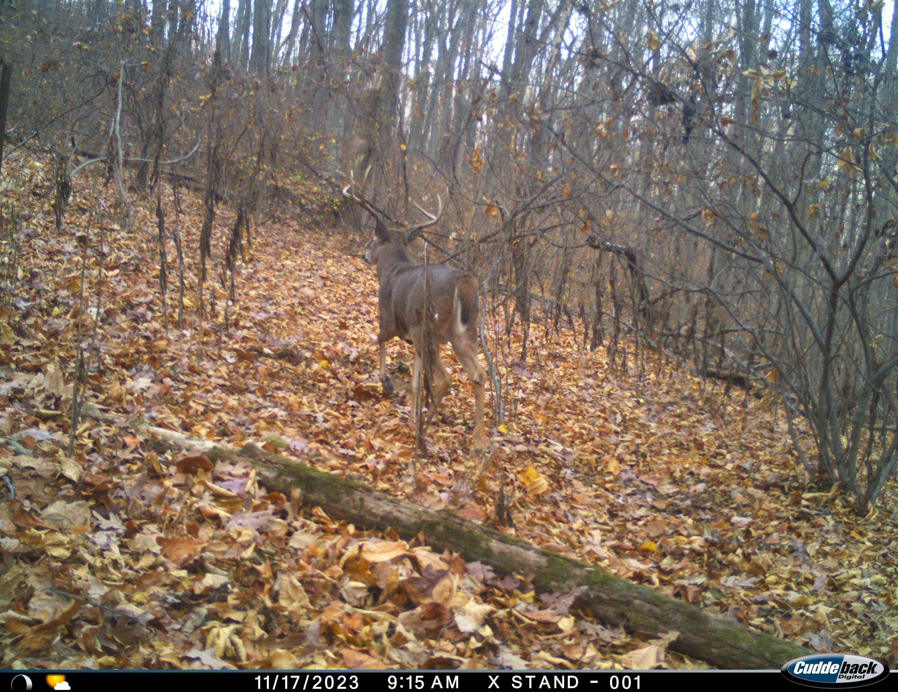 Lot 1 HOPKINS GAP RD, FULKS RUN, Virginia 22830, ,Farm,14,Lot 1 HOPKINS GAP RD,675970 MLS # 675970