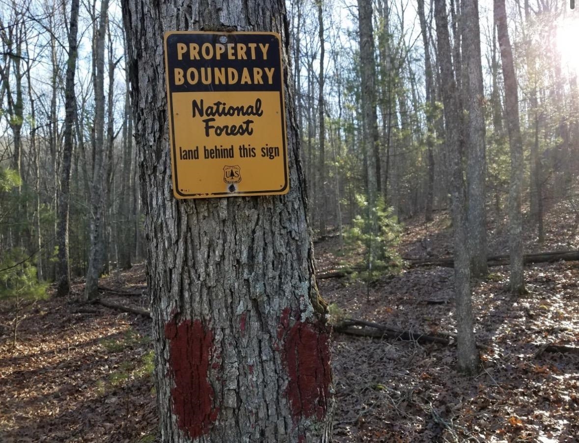 Lot 1 HOPKINS GAP RD, FULKS RUN, Virginia 22830, ,Farm,14,Lot 1 HOPKINS GAP RD,675970 MLS # 675970