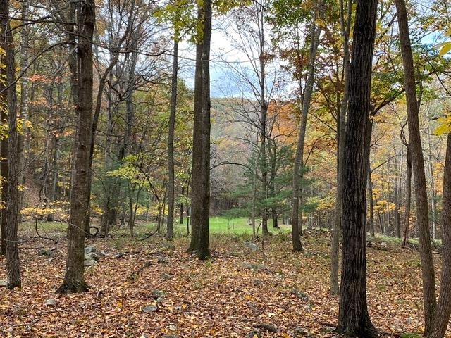 Lot 1 HOPKINS GAP RD, FULKS RUN, Virginia 22830, ,Farm,14,Lot 1 HOPKINS GAP RD,675970 MLS # 675970