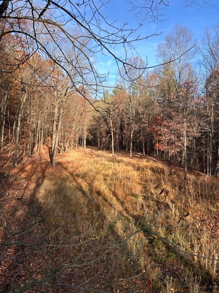 Lot 1 HOPKINS GAP RD, FULKS RUN, Virginia 22830, ,Farm,14,Lot 1 HOPKINS GAP RD,675970 MLS # 675970
