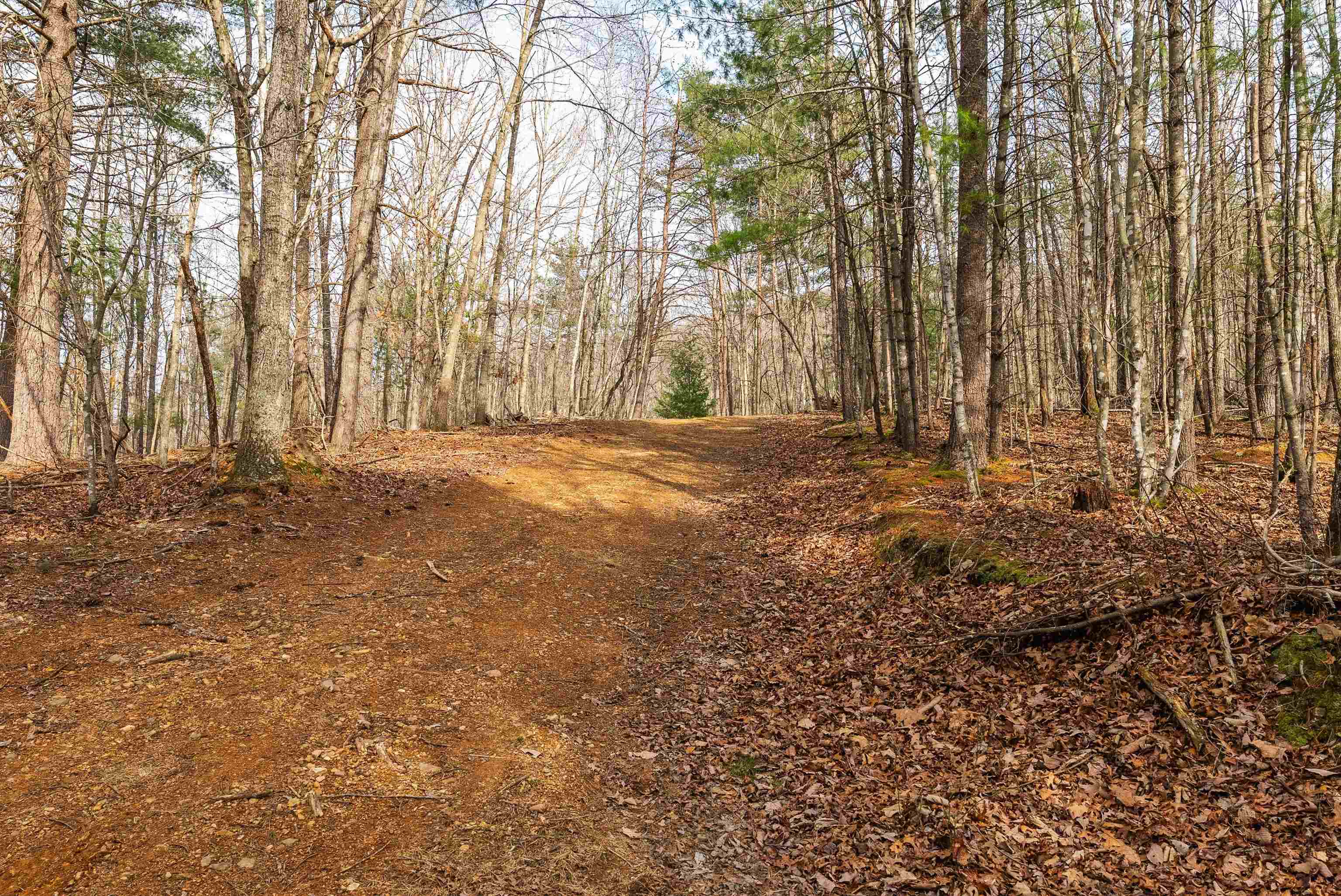 Lot 1 HOPKINS GAP RD, FULKS RUN, Virginia 22830, ,Farm,14,Lot 1 HOPKINS GAP RD,675970 MLS # 675970