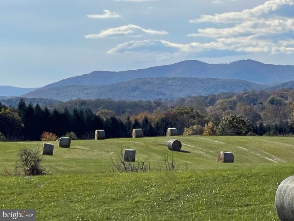 9078 MAIDSTONE RD, DELAPLANE, Virginia, 2 Bedrooms Bedrooms, ,1 BathroomBathrooms,Residential,14,9078 MAIDSTONE RD,VAFQ2021600 MLS # VAFQ2021600