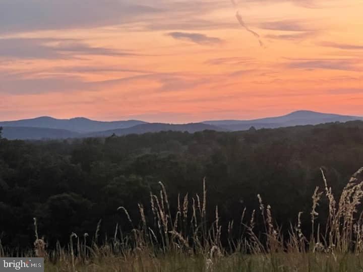 9078 MAIDSTONE RD, DELAPLANE, Virginia, 2 Bedrooms Bedrooms, ,1 BathroomBathrooms,Residential,14,9078 MAIDSTONE RD,VAFQ2021600 MLS # VAFQ2021600