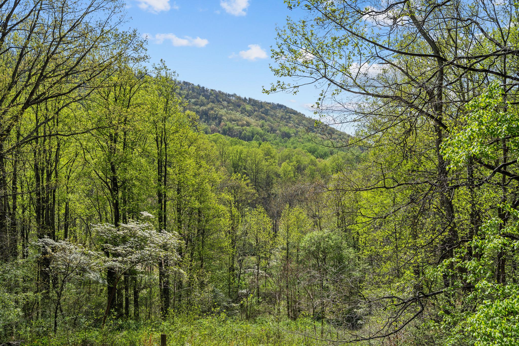 815 GID BROWN HOLLOW RD, WASHINGTON, Virginia, 3 Bedrooms Bedrooms, ,2 BathroomsBathrooms,Residential,14,815 GID BROWN HOLLOW RD,VARP2002582 MLS # VARP2002582