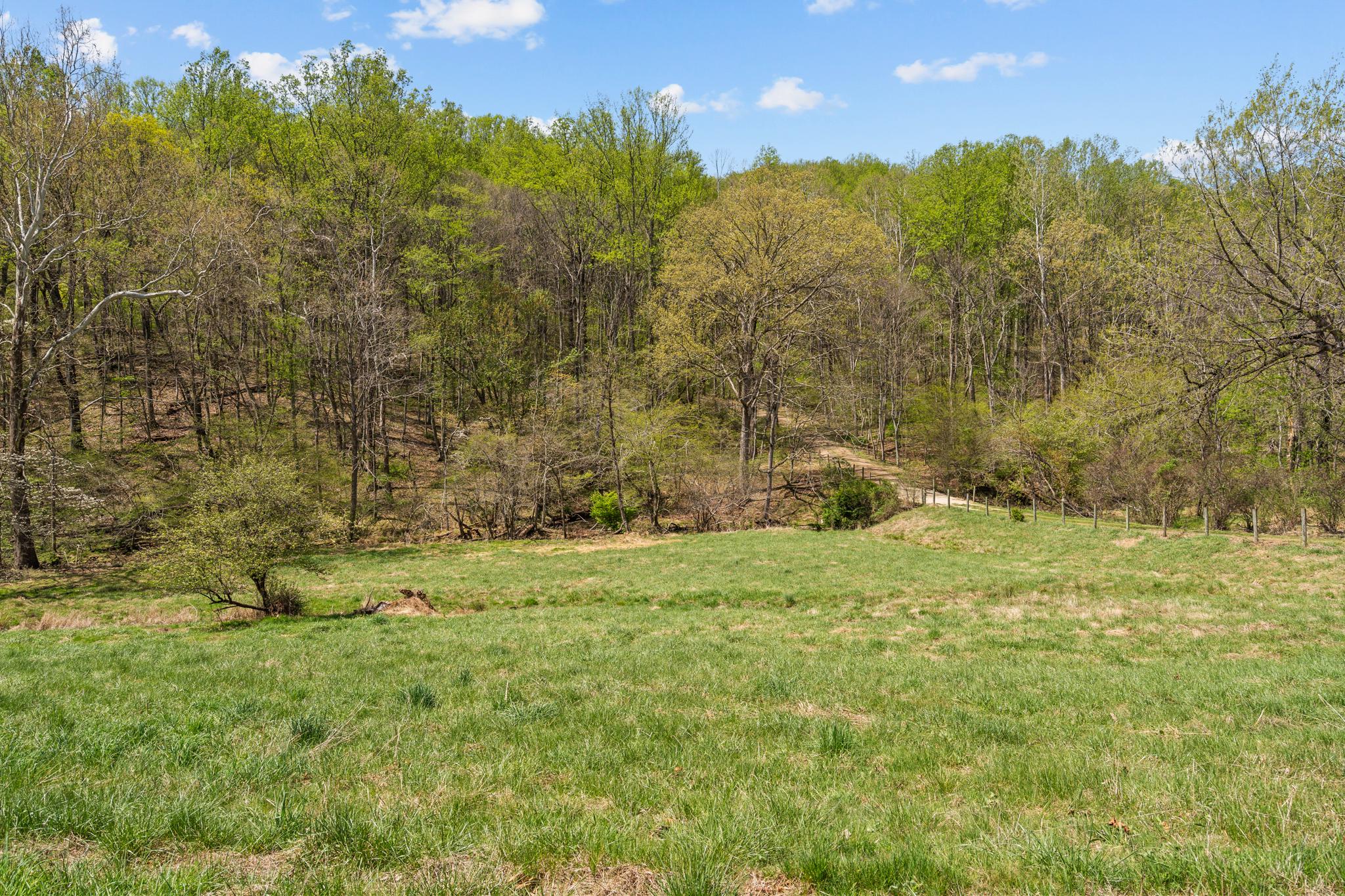 815 GID BROWN HOLLOW RD, WASHINGTON, Virginia, 3 Bedrooms Bedrooms, ,2 BathroomsBathrooms,Residential,14,815 GID BROWN HOLLOW RD,VARP2002582 MLS # VARP2002582