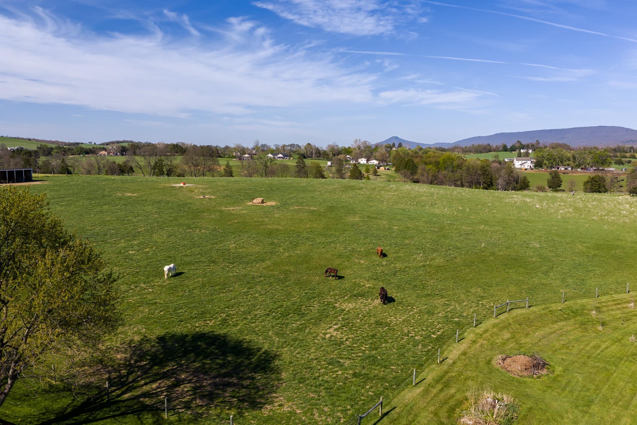 235 FAIRVIEW CHURCH RD, TIMBERVILLE, Virginia 22853, 3 Bedrooms Bedrooms, ,2 BathroomsBathrooms,Residential,14,235 FAIRVIEW CHURCH RD,675689 MLS # 675689