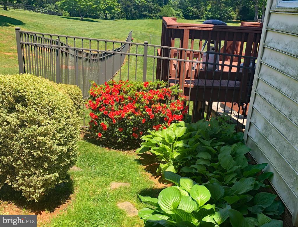 6277 GRIFFINSBURG RD, BOSTON, Virginia 22713, 4 Bedrooms Bedrooms, ,4 BathroomsBathrooms,Residential,14,6277 GRIFFINSBURG RD,VACU2013376 MLS # VACU2013376