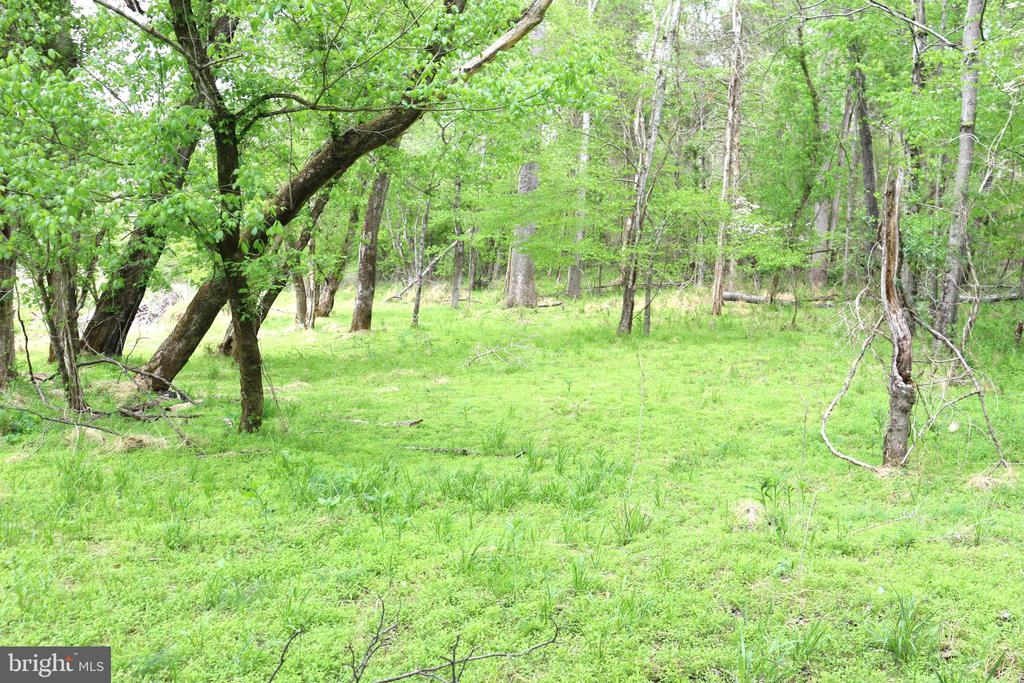 0 HAZEL RIVER RD, RIXEYVILLE, Virginia 22737, ,Land,14,0 HAZEL RIVER RD,VACU2013372 MLS # VACU2013372