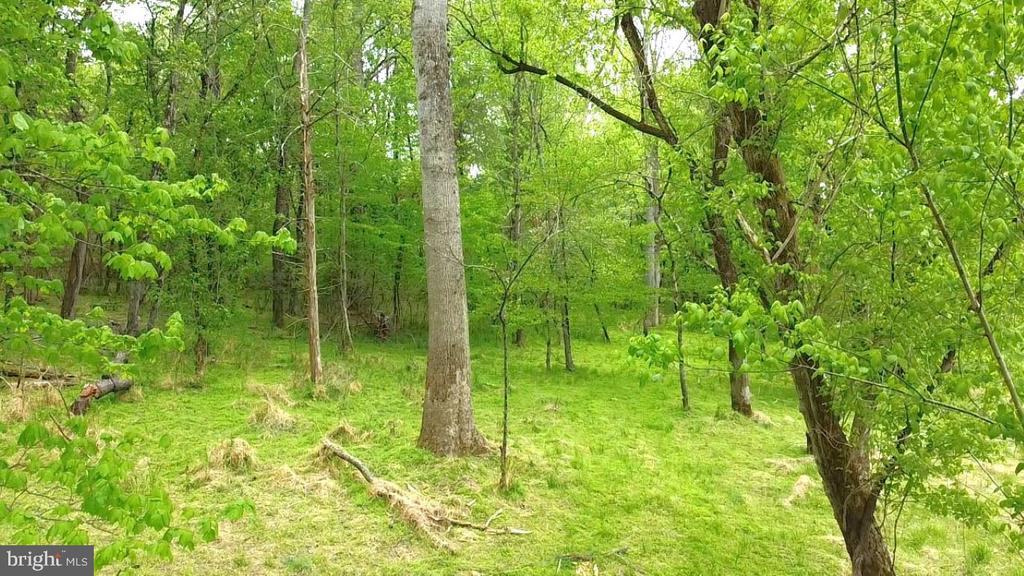 0 HAZEL RIVER RD, RIXEYVILLE, Virginia 22737, ,Land,14,0 HAZEL RIVER RD,VACU2013372 MLS # VACU2013372