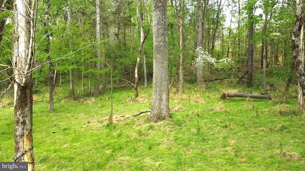 0 HAZEL RIVER RD, RIXEYVILLE, Virginia 22737, ,Land,14,0 HAZEL RIVER RD,VACU2013372 MLS # VACU2013372