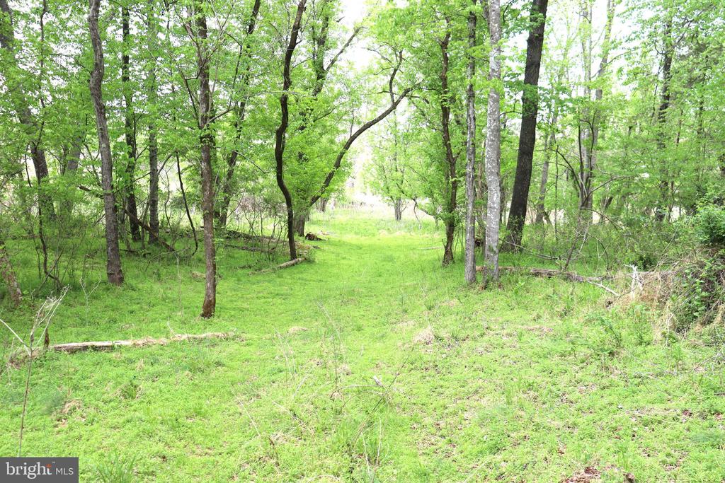0 HAZEL RIVER RD, RIXEYVILLE, Virginia 22737, ,Land,14,0 HAZEL RIVER RD,VACU2013372 MLS # VACU2013372