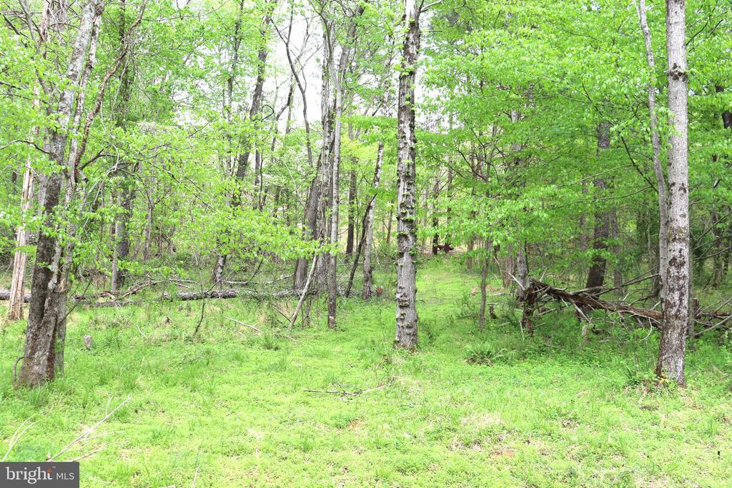 0 HAZEL RIVER RD, RIXEYVILLE, Virginia 22737, ,Land,14,0 HAZEL RIVER RD,VACU2013372 MLS # VACU2013372