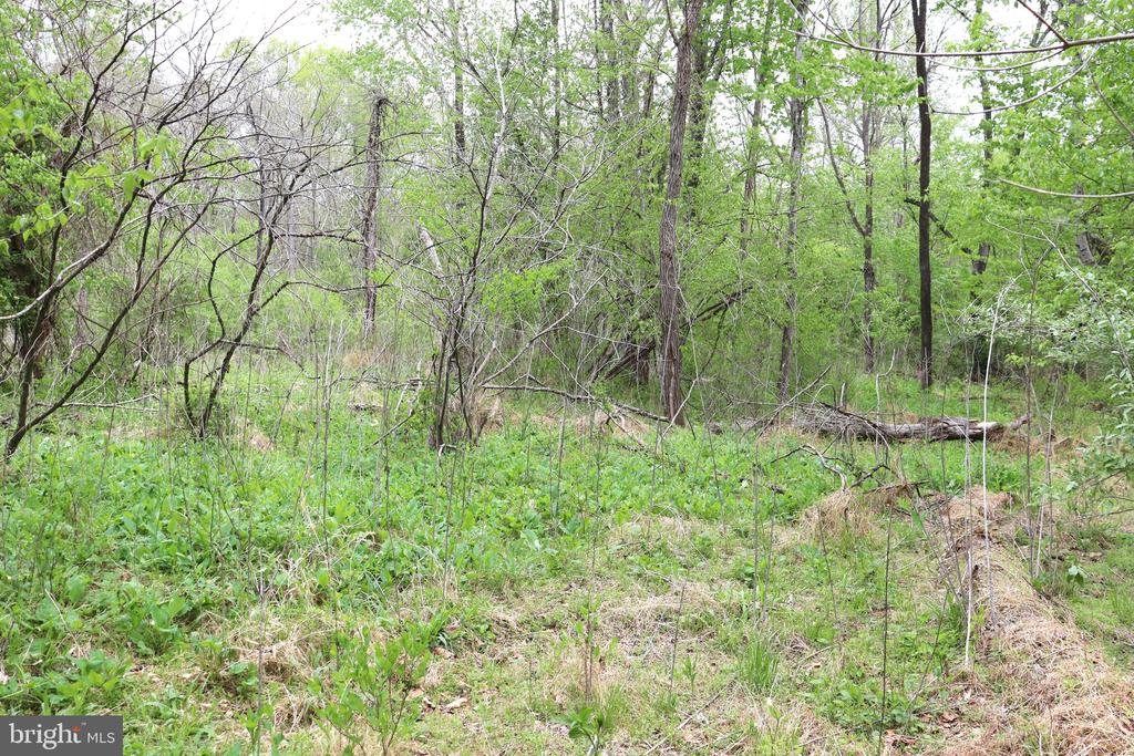 0 HAZEL RIVER RD, RIXEYVILLE, Virginia 22737, ,Land,14,0 HAZEL RIVER RD,VACU2013372 MLS # VACU2013372