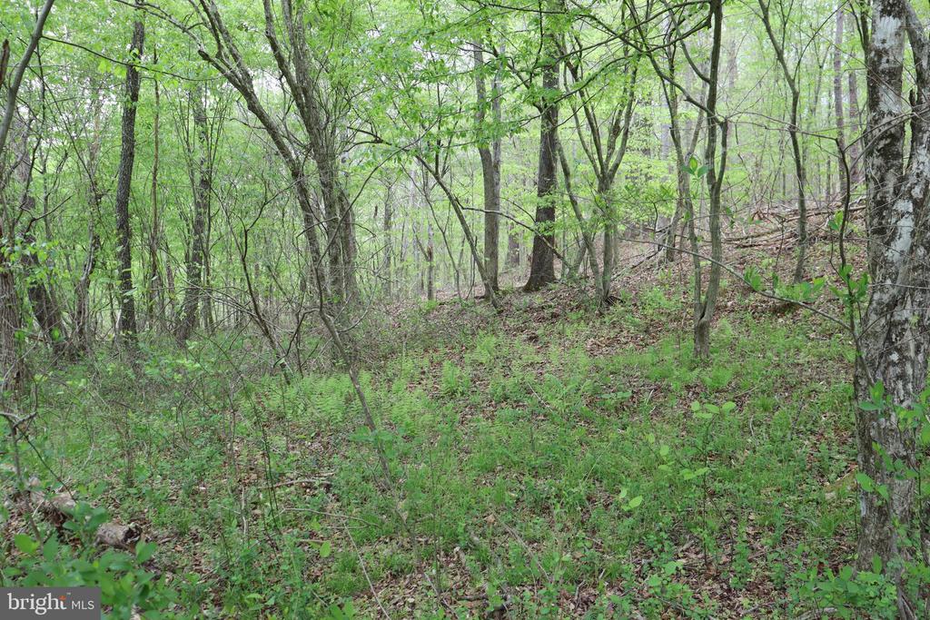 0 HAZEL RIVER RD, RIXEYVILLE, Virginia 22737, ,Land,14,0 HAZEL RIVER RD,VACU2013372 MLS # VACU2013372