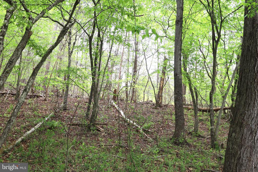 0 HAZEL RIVER RD, RIXEYVILLE, Virginia 22737, ,Land,14,0 HAZEL RIVER RD,VACU2013372 MLS # VACU2013372