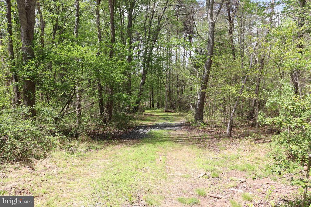0 HAZEL RIVER RD, RIXEYVILLE, Virginia 22737, ,Land,14,0 HAZEL RIVER RD,VACU2013372 MLS # VACU2013372