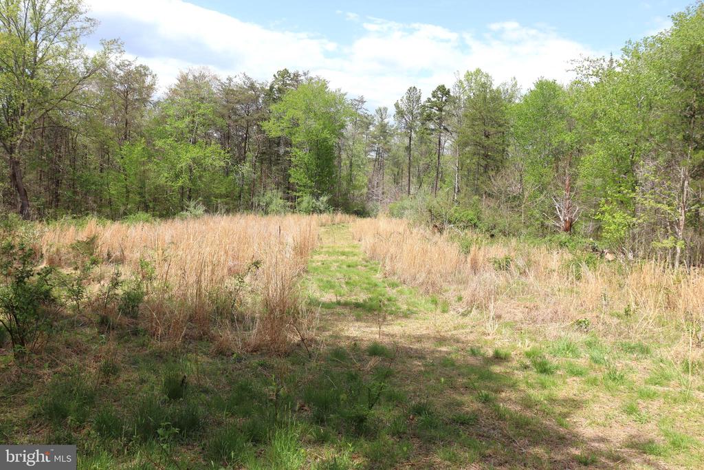 0 HAZEL RIVER RD, RIXEYVILLE, Virginia 22737, ,Land,14,0 HAZEL RIVER RD,VACU2013372 MLS # VACU2013372
