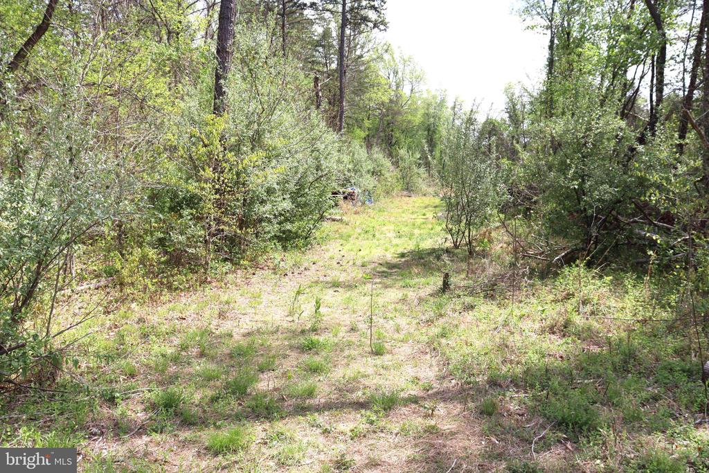 0 HAZEL RIVER RD, RIXEYVILLE, Virginia 22737, ,Land,14,0 HAZEL RIVER RD,VACU2013372 MLS # VACU2013372