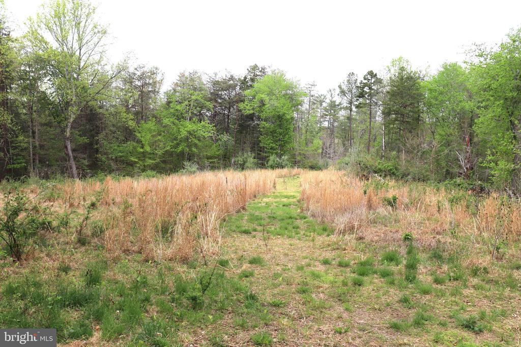 0 HAZEL RIVER RD, RIXEYVILLE, Virginia 22737, ,Land,14,0 HAZEL RIVER RD,VACU2013372 MLS # VACU2013372