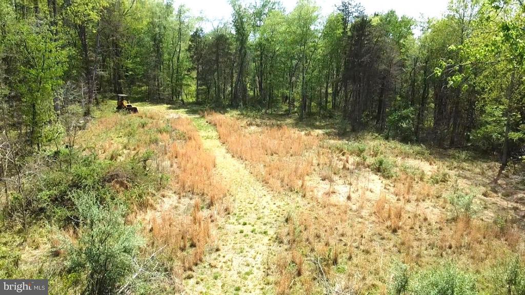 0 HAZEL RIVER RD, RIXEYVILLE, Virginia 22737, ,Land,14,0 HAZEL RIVER RD,VACU2013372 MLS # VACU2013372