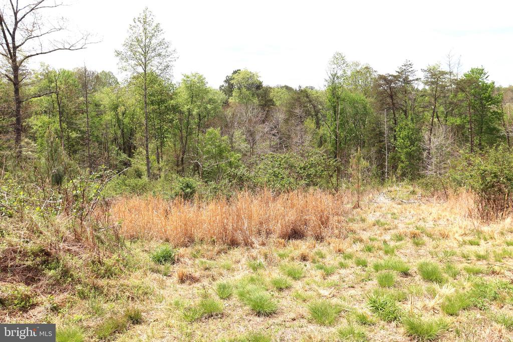 0 HAZEL RIVER RD, RIXEYVILLE, Virginia 22737, ,Land,14,0 HAZEL RIVER RD,VACU2013372 MLS # VACU2013372