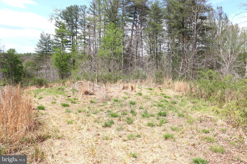 0 HAZEL RIVER RD, RIXEYVILLE, Virginia 22737, ,Land,14,0 HAZEL RIVER RD,VACU2013372 MLS # VACU2013372