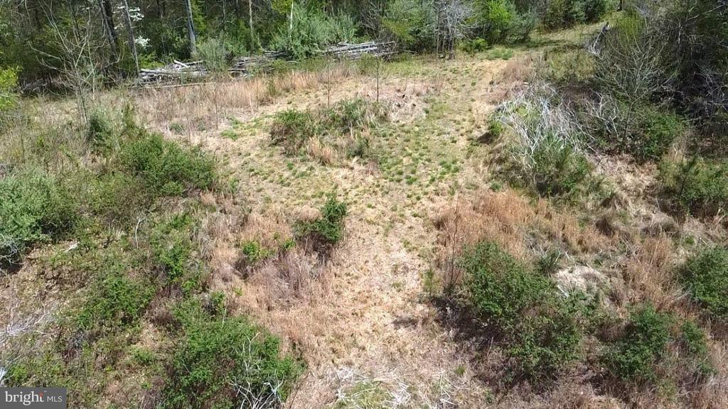 0 HAZEL RIVER RD, RIXEYVILLE, Virginia 22737, ,Land,14,0 HAZEL RIVER RD,VACU2013372 MLS # VACU2013372