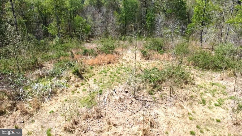 0 HAZEL RIVER RD, RIXEYVILLE, Virginia 22737, ,Land,14,0 HAZEL RIVER RD,VACU2013372 MLS # VACU2013372
