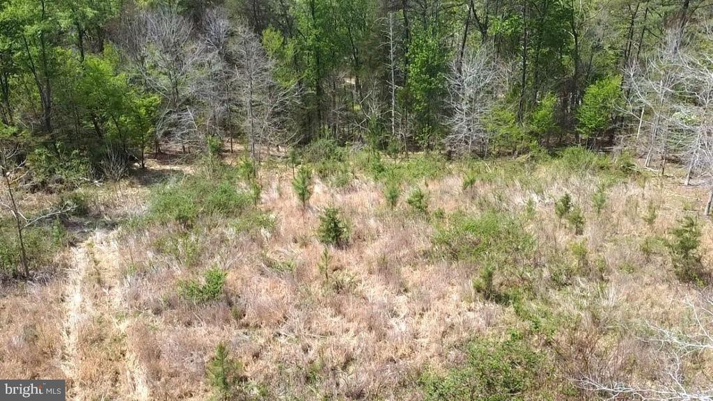 0 HAZEL RIVER RD, RIXEYVILLE, Virginia 22737, ,Land,14,0 HAZEL RIVER RD,VACU2013372 MLS # VACU2013372