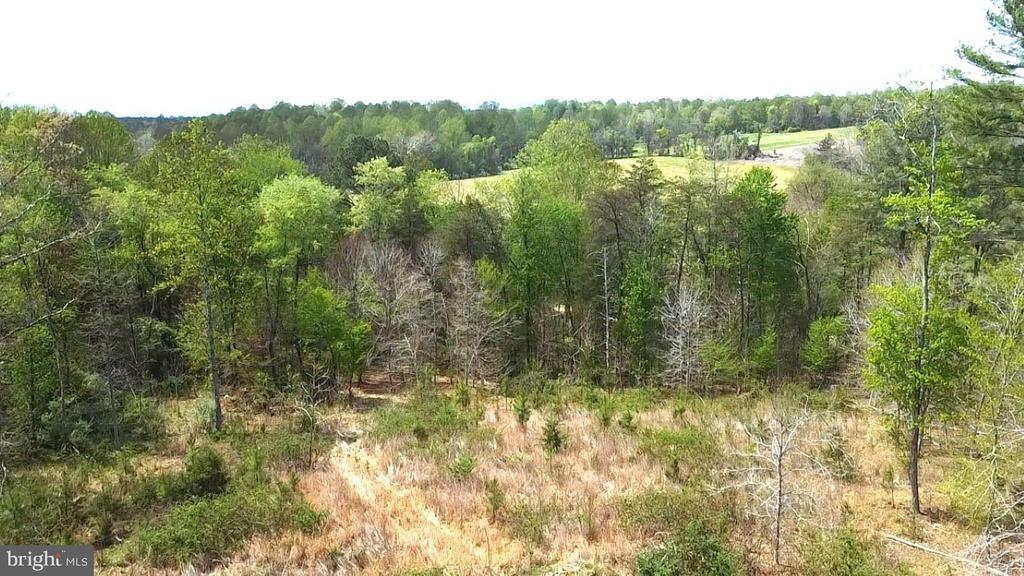 0 HAZEL RIVER RD, RIXEYVILLE, Virginia 22737, ,Land,14,0 HAZEL RIVER RD,VACU2013372 MLS # VACU2013372