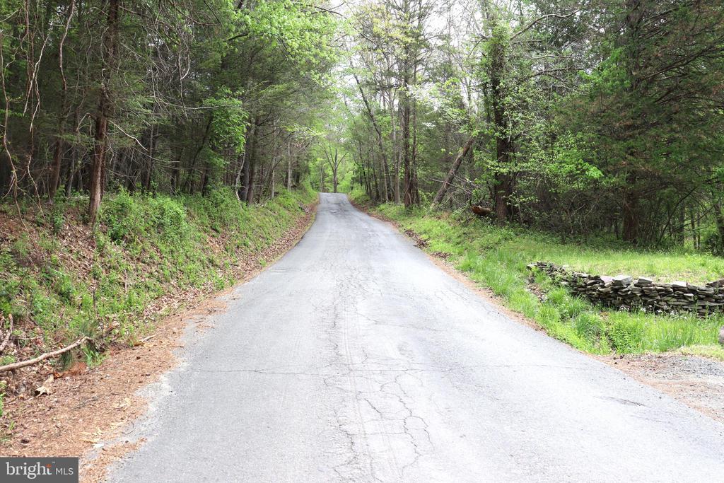 0 HAZEL RIVER RD, RIXEYVILLE, Virginia 22737, ,Land,14,0 HAZEL RIVER RD,VACU2013372 MLS # VACU2013372