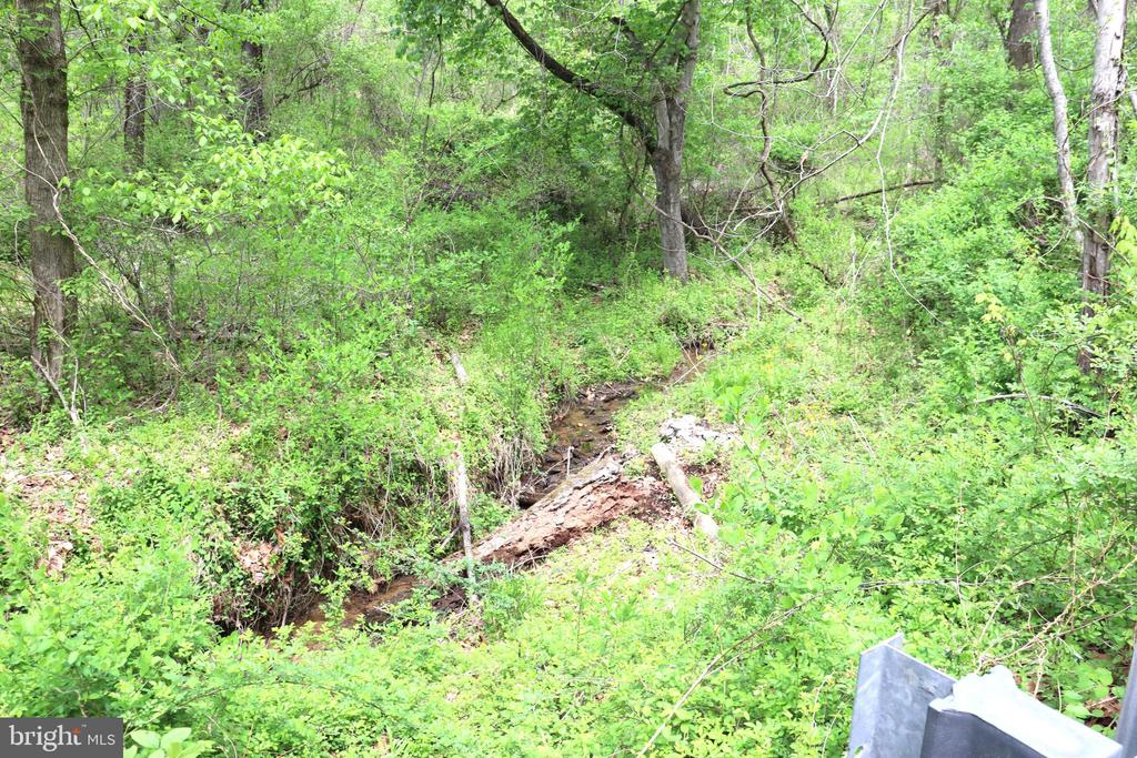 0 HAZEL RIVER RD, RIXEYVILLE, Virginia 22737, ,Land,14,0 HAZEL RIVER RD,VACU2013372 MLS # VACU2013372