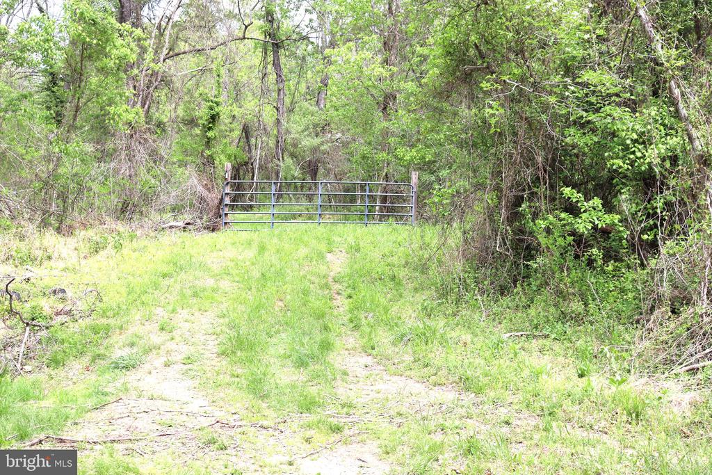 0 HAZEL RIVER RD, RIXEYVILLE, Virginia 22737, ,Land,14,0 HAZEL RIVER RD,VACU2013372 MLS # VACU2013372
