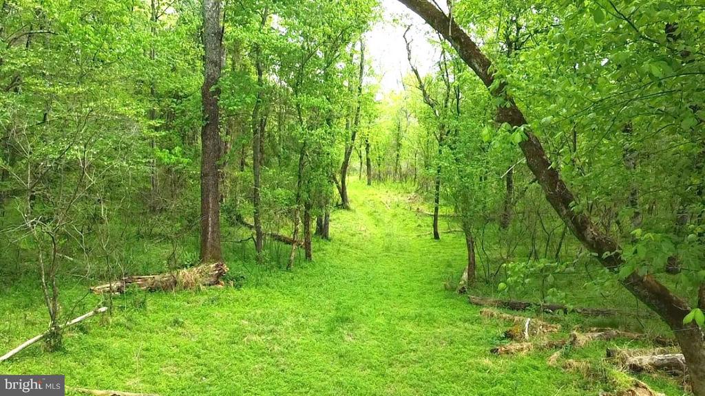 0 HAZEL RIVER RD, RIXEYVILLE, Virginia 22737, ,Land,14,0 HAZEL RIVER RD,VACU2013372 MLS # VACU2013372