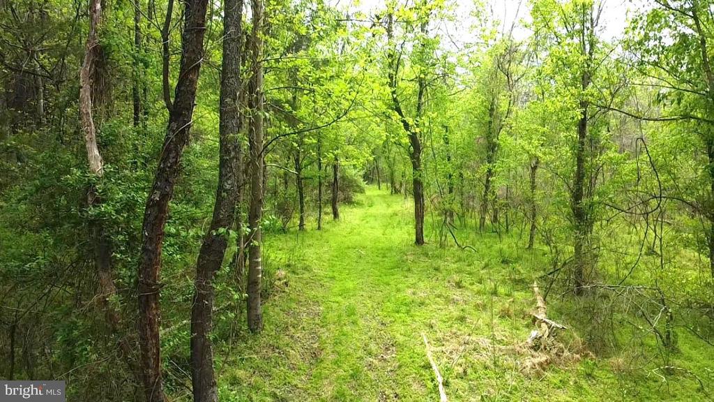 0 HAZEL RIVER RD, RIXEYVILLE, Virginia 22737, ,Land,14,0 HAZEL RIVER RD,VACU2013372 MLS # VACU2013372
