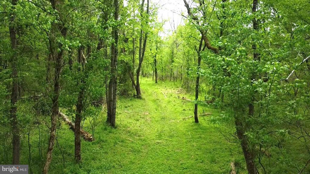 0 HAZEL RIVER RD, RIXEYVILLE, Virginia 22737, ,Land,14,0 HAZEL RIVER RD,VACU2013372 MLS # VACU2013372