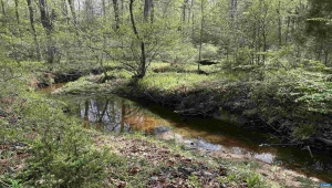 0 PADDOCK WOOD RD, ZION CROSSROADS, Virginia 22942, ,Farm,14,0 PADDOCK WOOD RD,676299 MLS # 676299